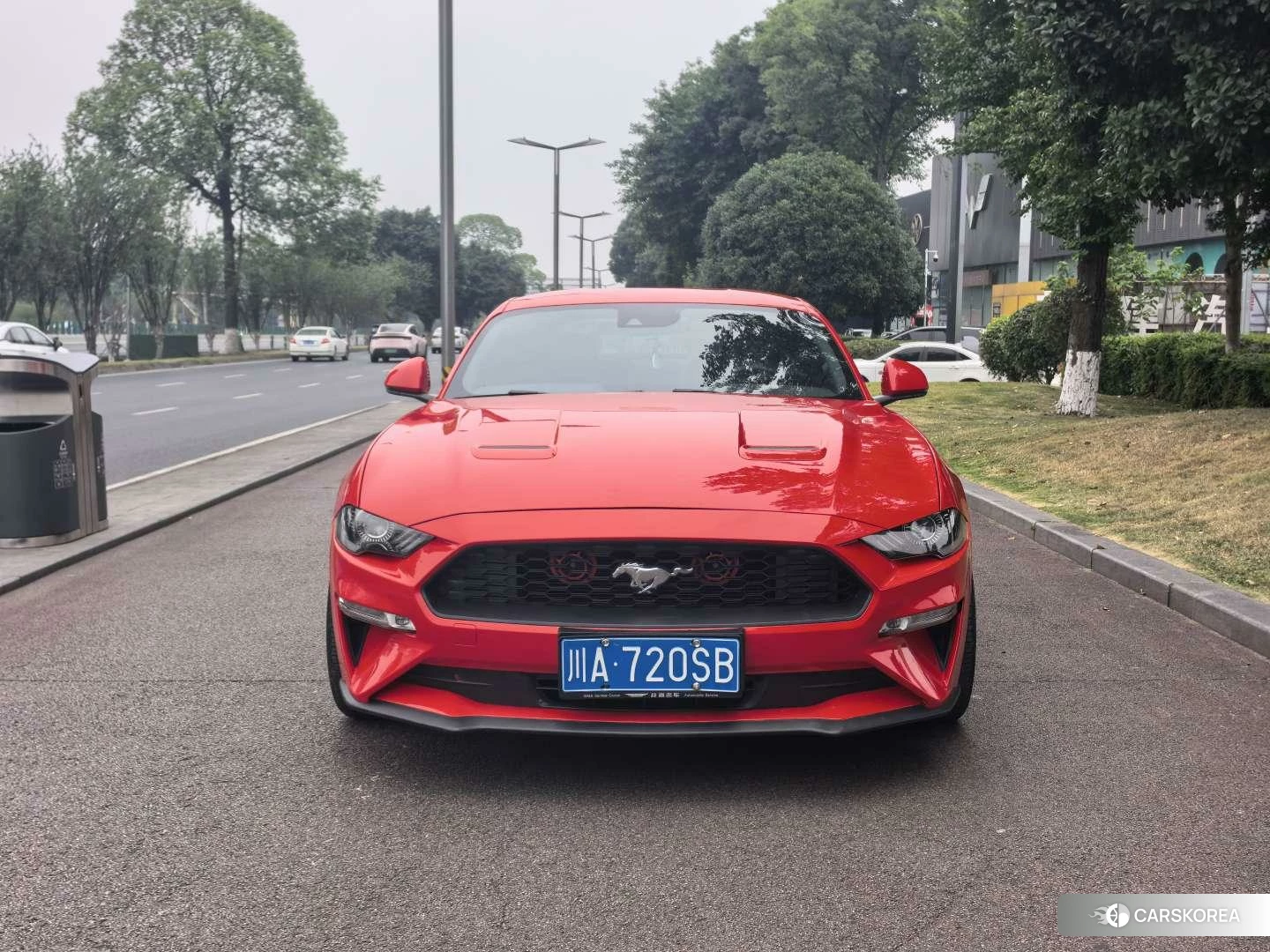 Ford Mustang id 4461780 из Китая 10