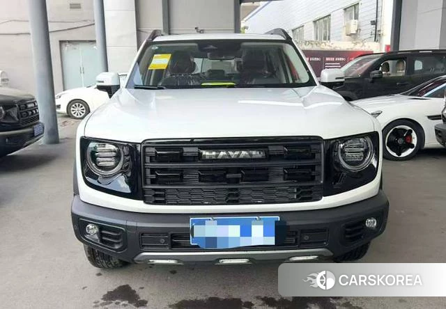 Haval Big dog id 4182574 из Китая 7