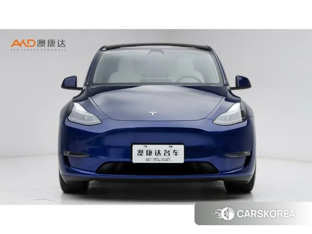 Tesla Model Y id 4238574 из Китая 7