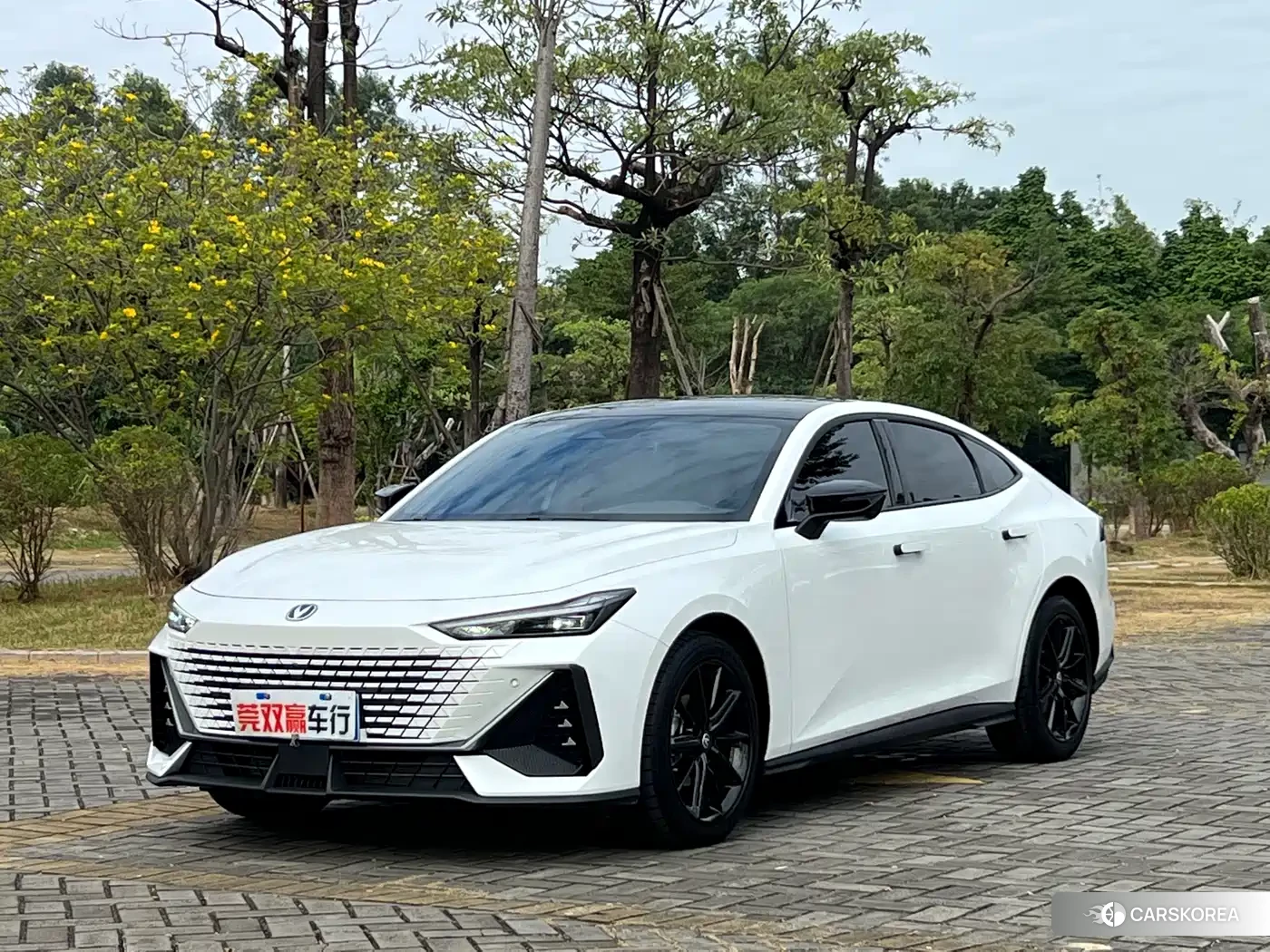 Chang'an UNI-V id 4659830 из Китая 20