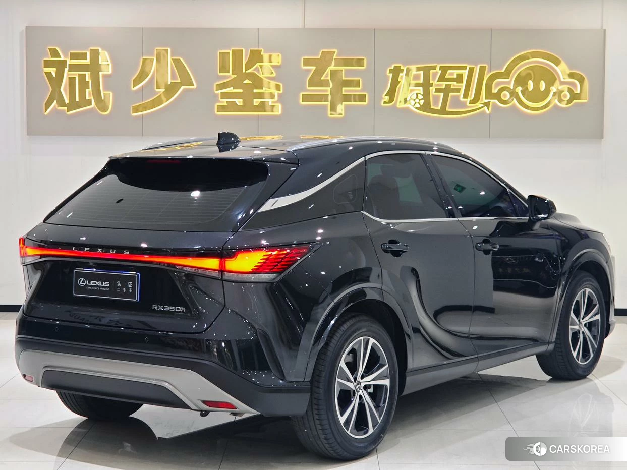Lexus RX id 4486406 из Китая 9