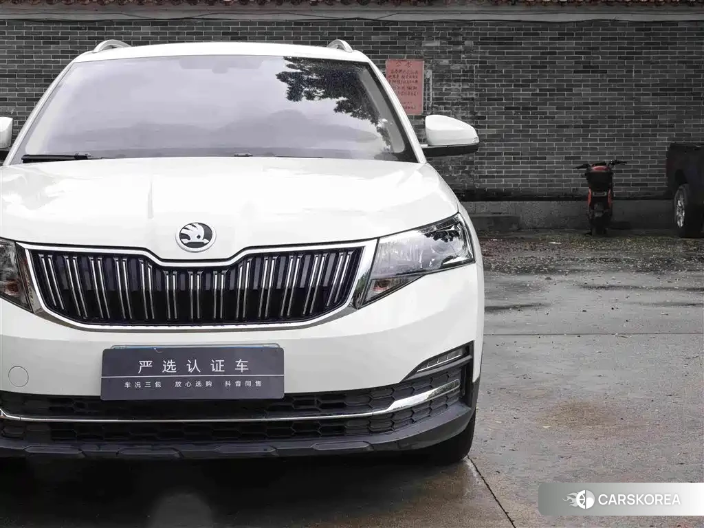 Skoda Kamiq id 4680521 из Китая 25