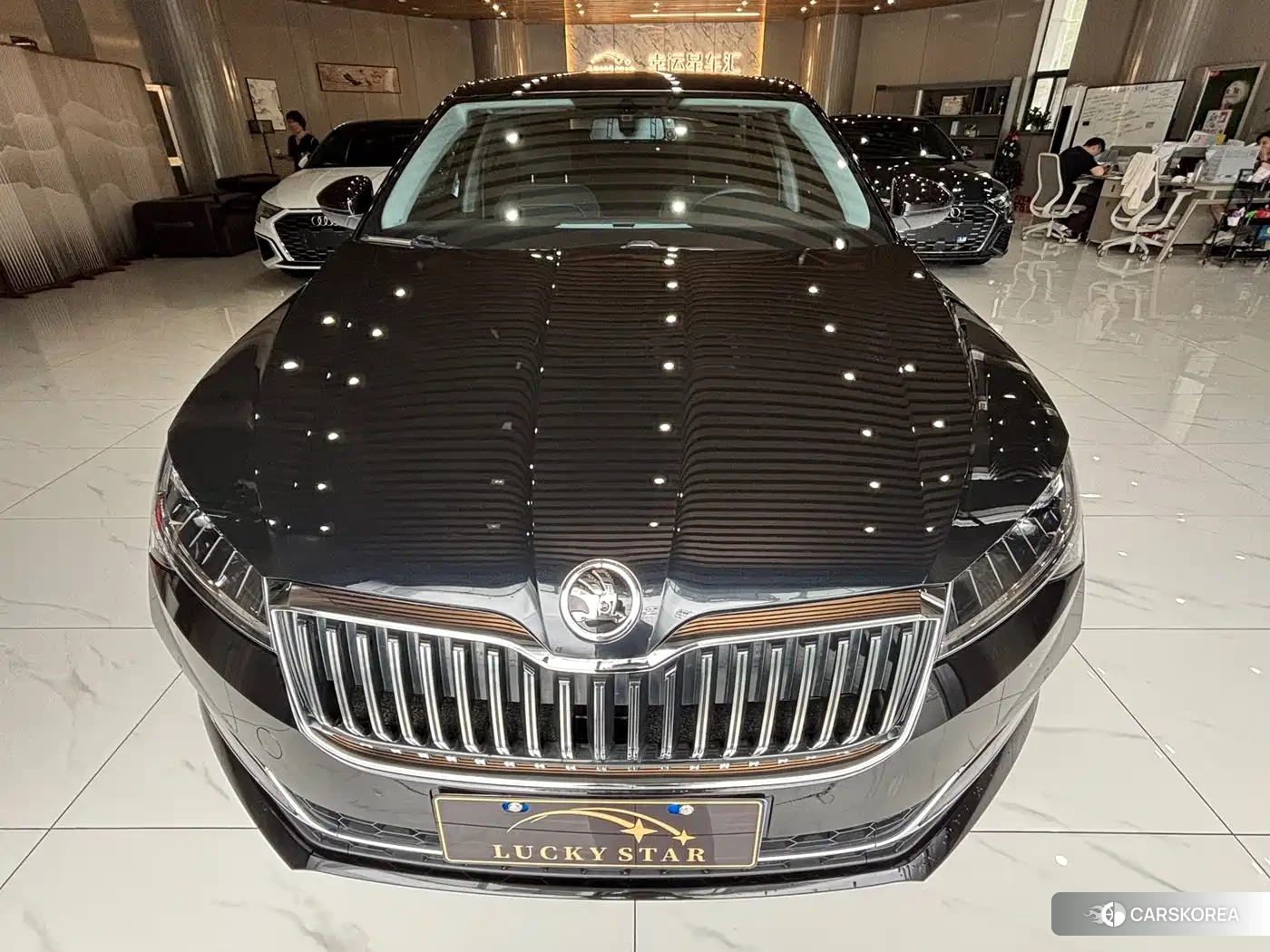 Skoda Speed pie id 4538741 из Китая 19