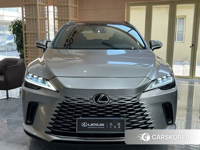 Lexus RX id 3920615 из Китая 15