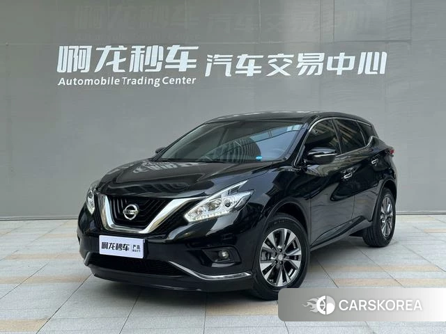 Nissan Loulan id 4220545 из Китая 19