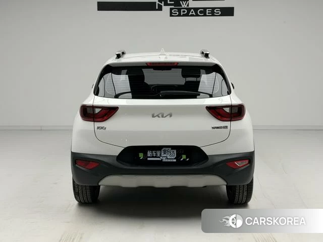 Kia Yi Ran id 4276095 из Китая 14
