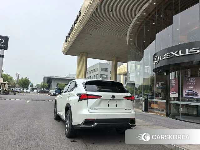 Lexus NX id 4262252 из Китая 14