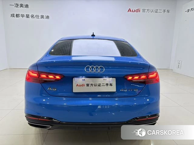 Audi A5 id 4261432 из Китая 16