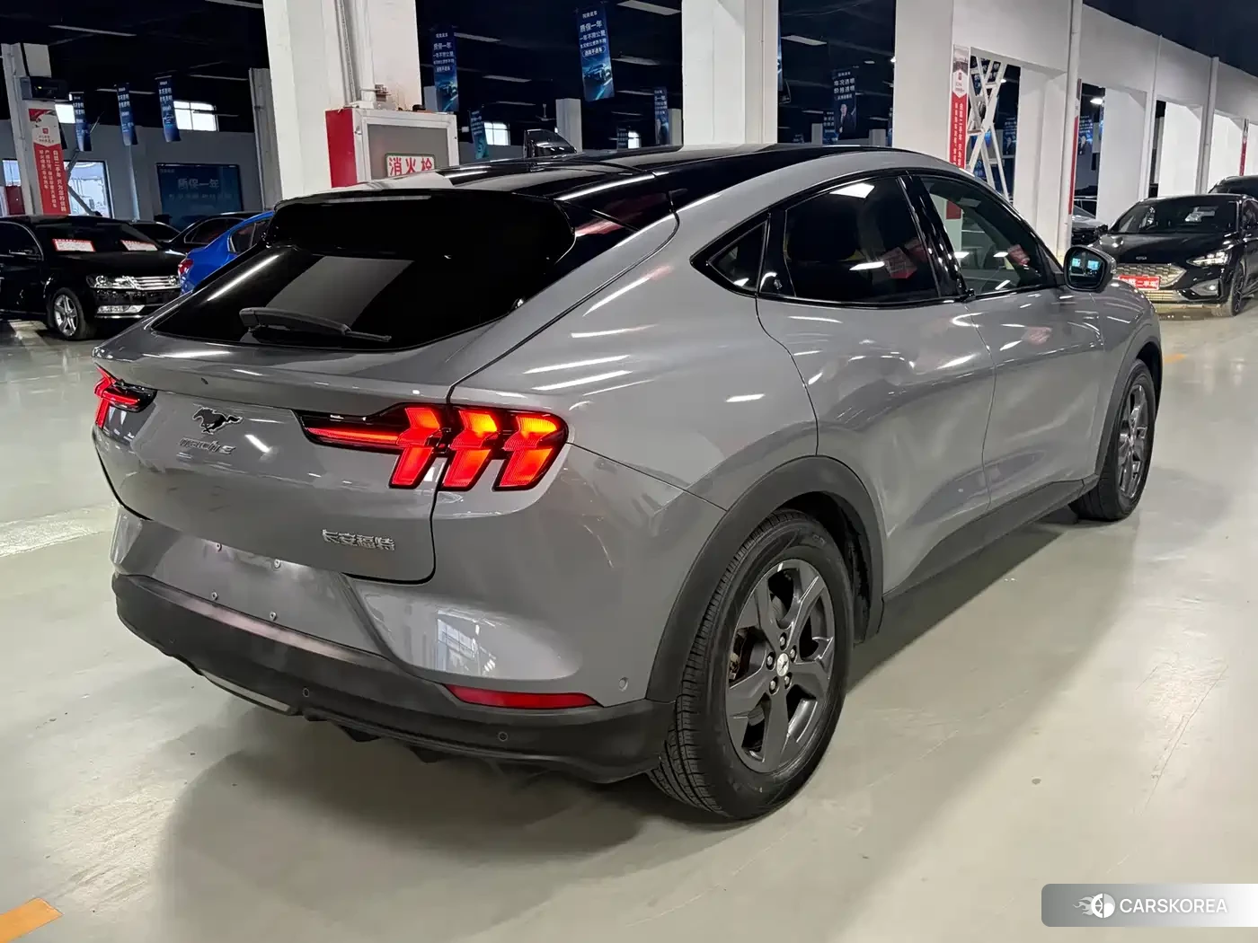 Ford Electric horse id 4628238 из Китая 14