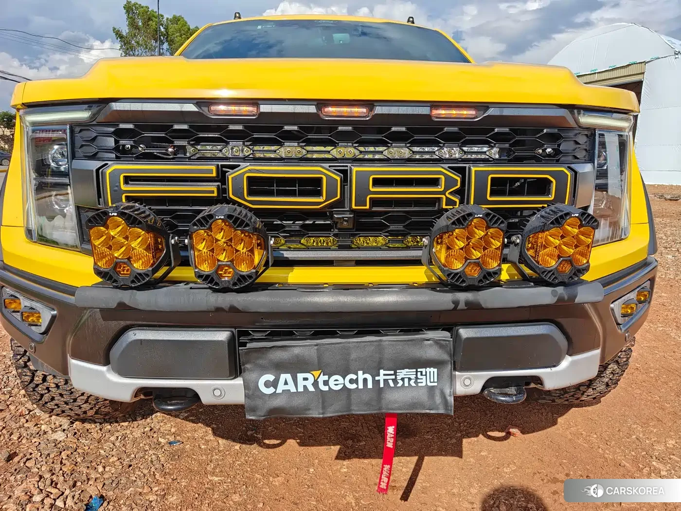 Ford F-150 Raptor id 4553666 из Китая 12