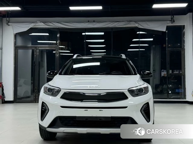 Kia Yi Ran id 4259540 из Китая 20