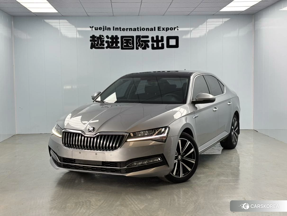 Skoda Speed pie id 4512842 из Китая 9