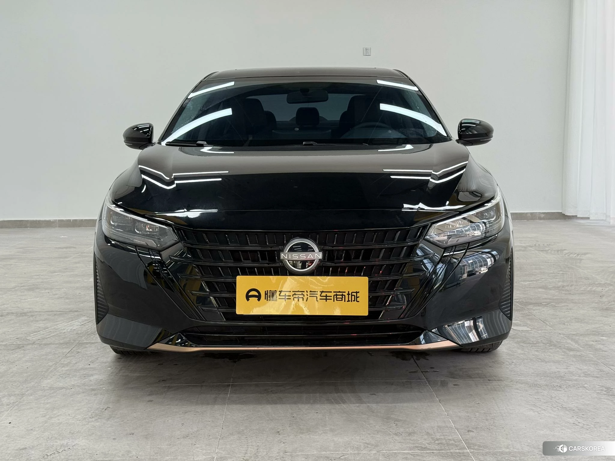 Nissan Xuan Yi id 4493257 из Китая 17