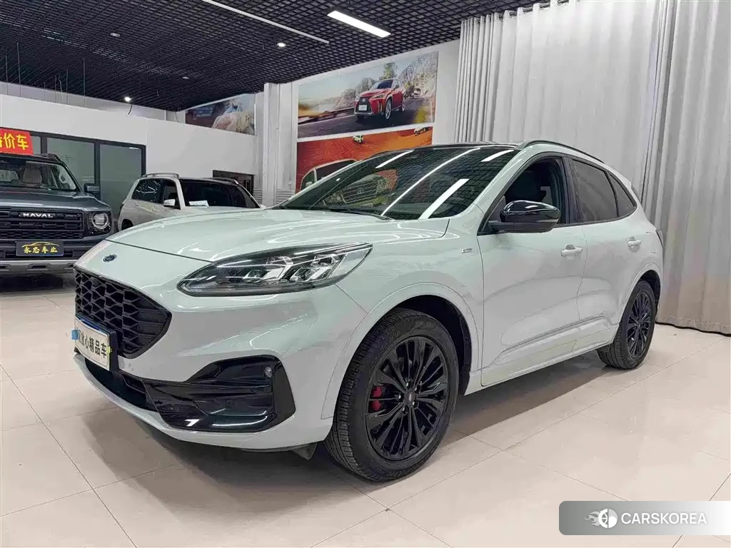 Ford Ruiji id 4654409 из Китая 7