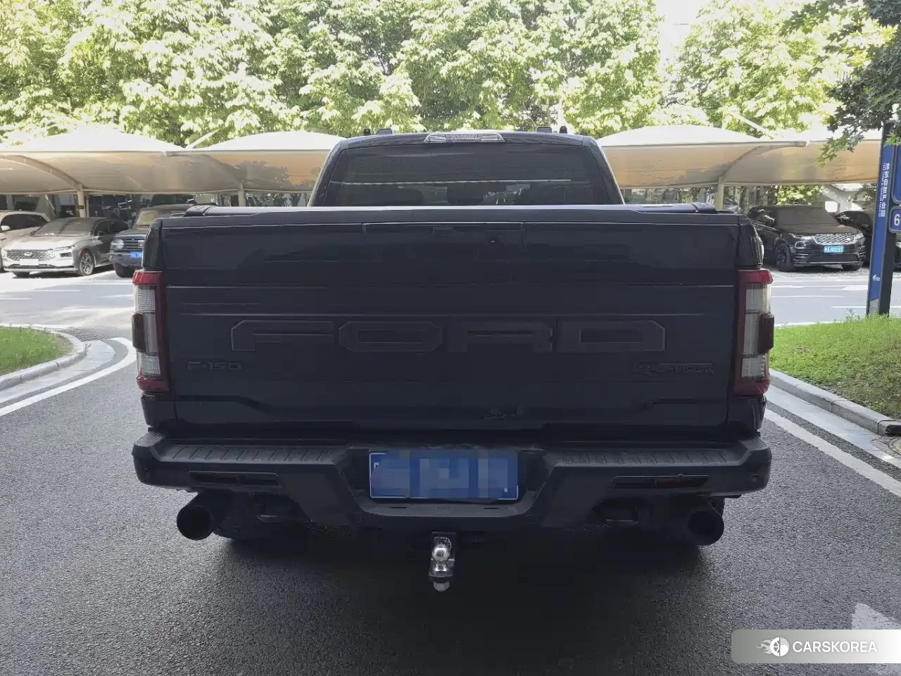 Ford F-150 id 4589272 из Китая 12