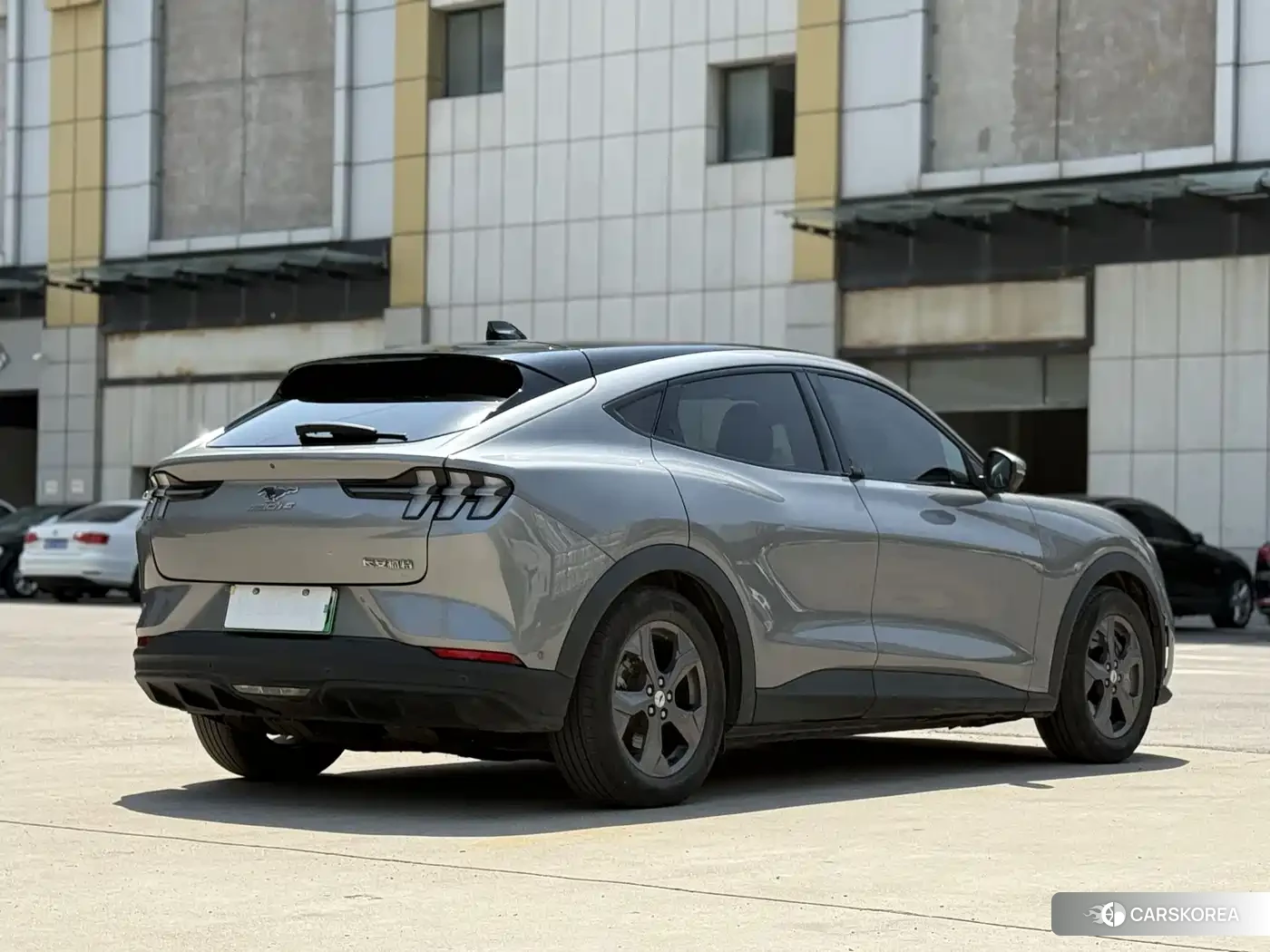 Ford Electric horse id 4599517 из Китая 7