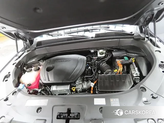 Renault Korea (Samsung) Grand Coleos id 3776013 из Кореи 17