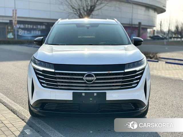 Nissan Exploring the land id 4273105 из Китая 13