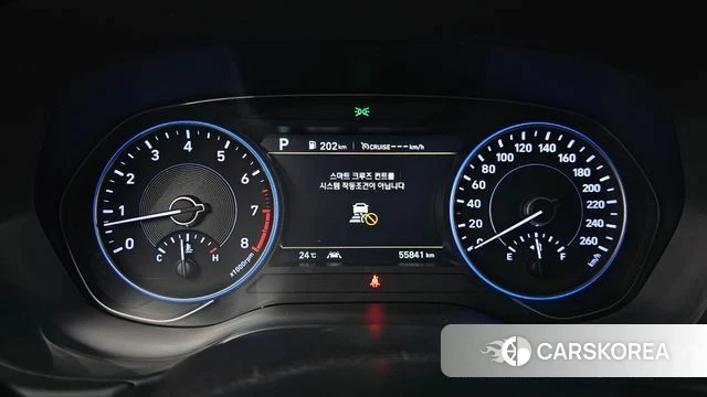 Hyundai Palisade id 4610032 из Кореи 33