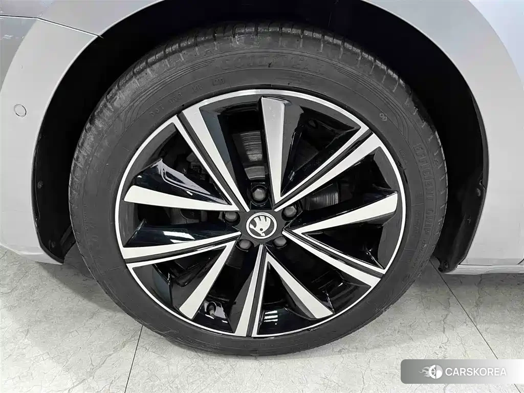 Skoda Speed pie id 4577562 из Китая 22