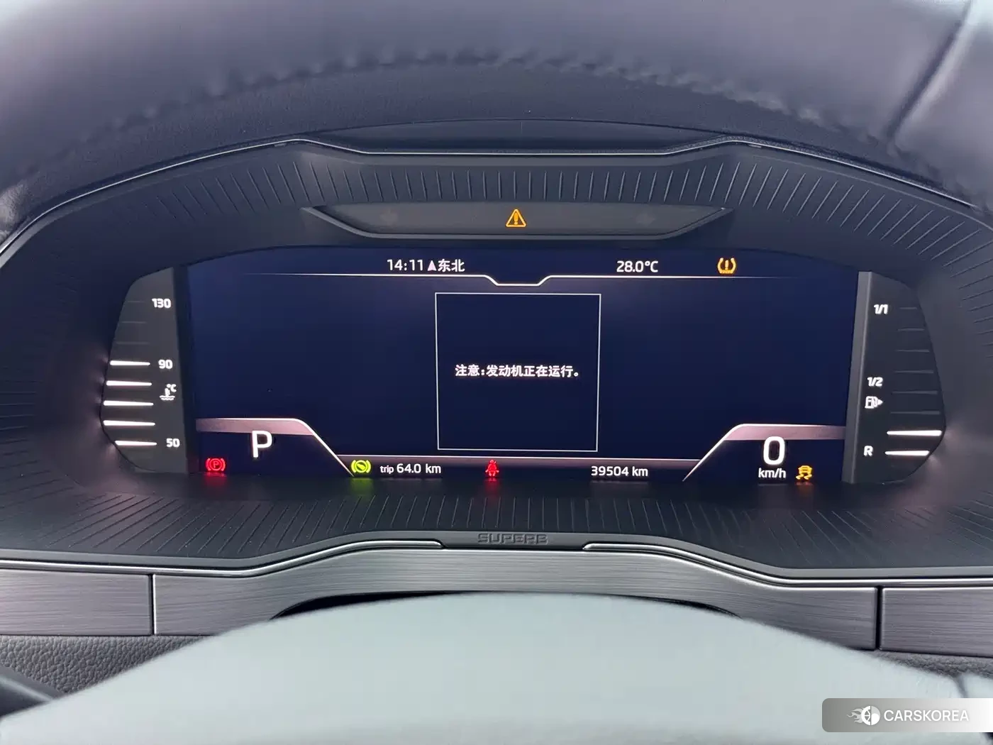 Skoda Speed pie id 4538816 из Китая 21