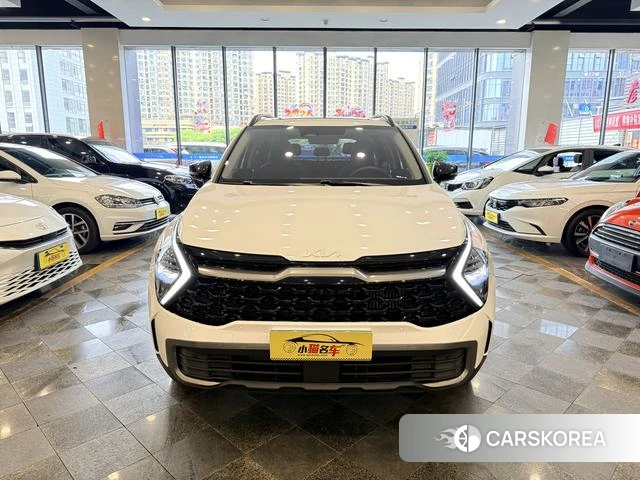 Kia Lion Platinum expands the world id 4297723 из Китая 33