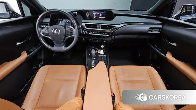 Lexus UX300e id 3721753 из Кореи 17