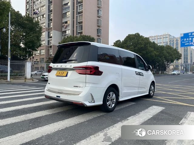 Chase G20 id 4241456 из Китая 7