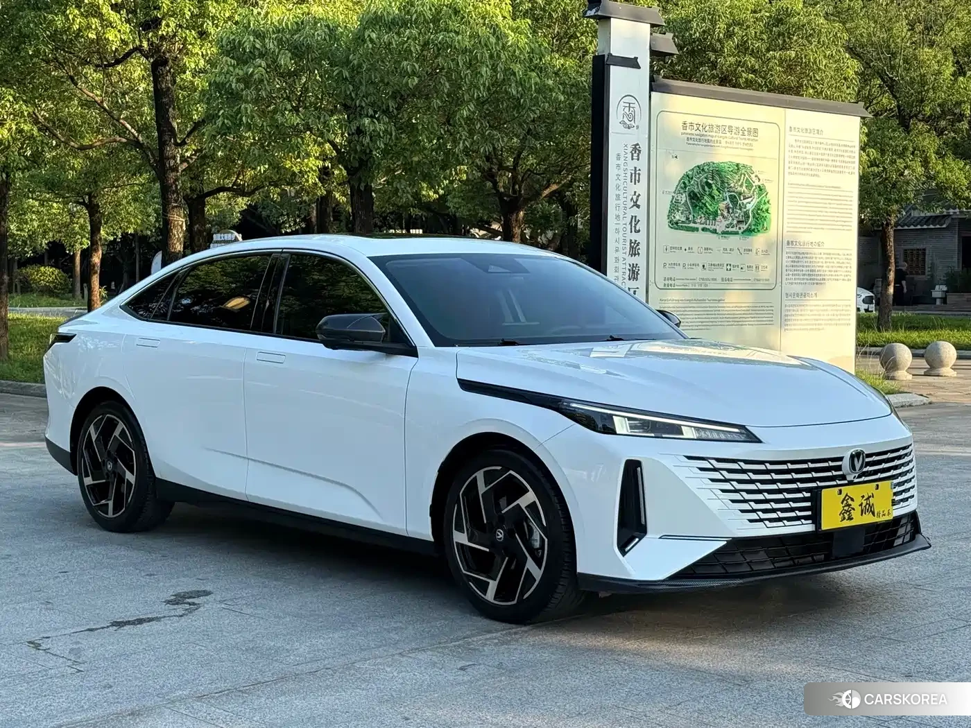 Chang'an Yida id 4622347 из Китая 17
