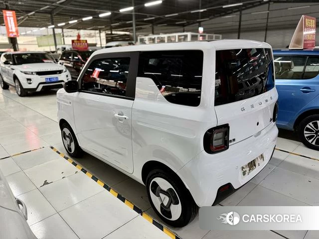 Geely Galaxy panda id 3993481 из Китая 8