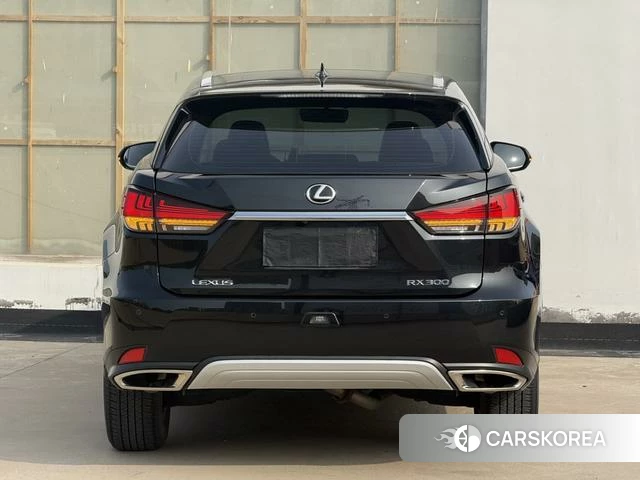 Lexus RX id 4353267 из Китая 12