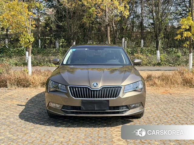 Skoda Speed pie id 3869879 из Китая 18