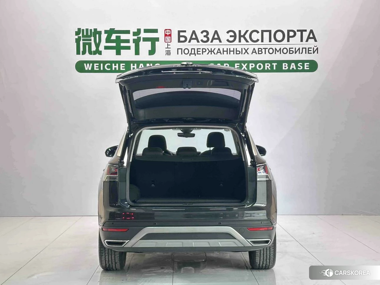 Volkswagen Tanyue id 4511011 из Китая 18