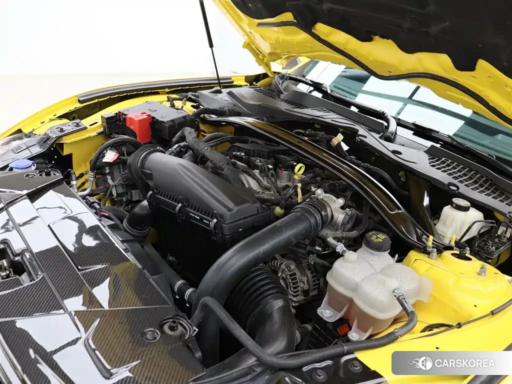 Ford Mustang id 4548180 из Китая 29