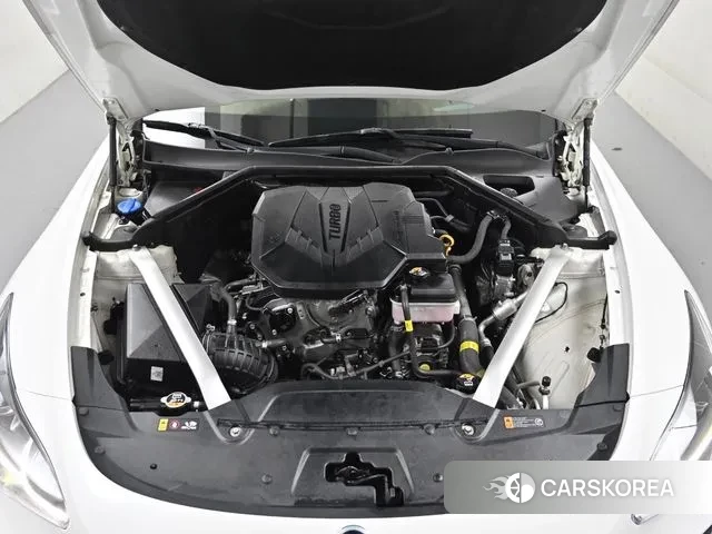 Kia Stinger Meister id 3307225 из Кореи 17