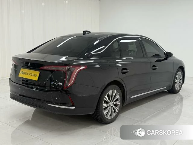 Red flag E-QM5 id 3926994 из Китая 17