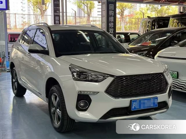 Haval H6 Coupe id 4211203 из Китая 16