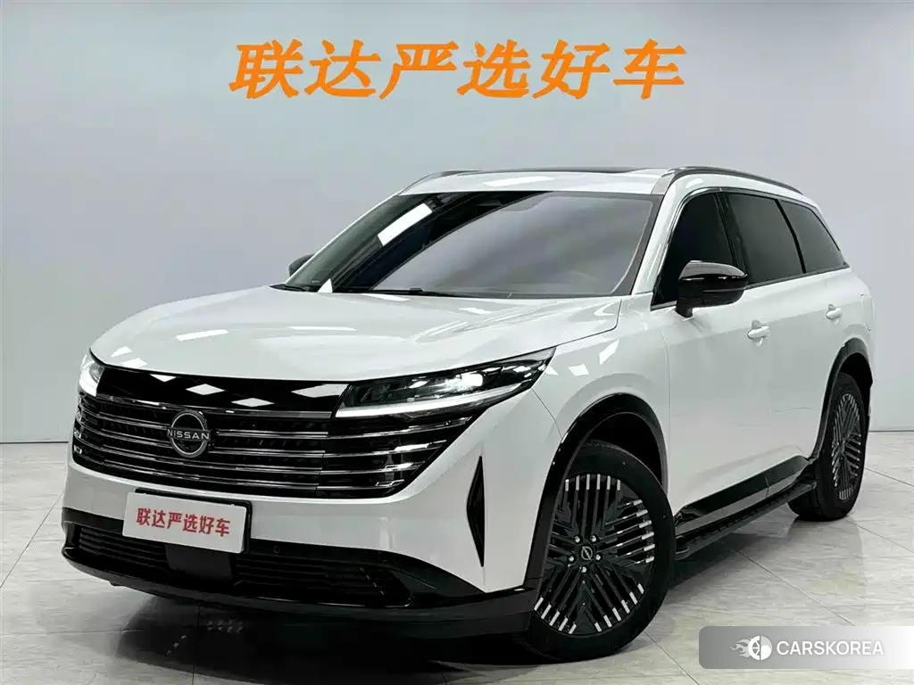 Nissan Exploring the land id 4515313 из Китая 23