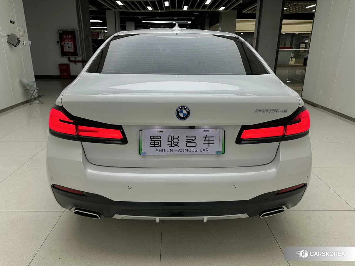 BMW 5 series PHEV id 4440820 из Китая 9