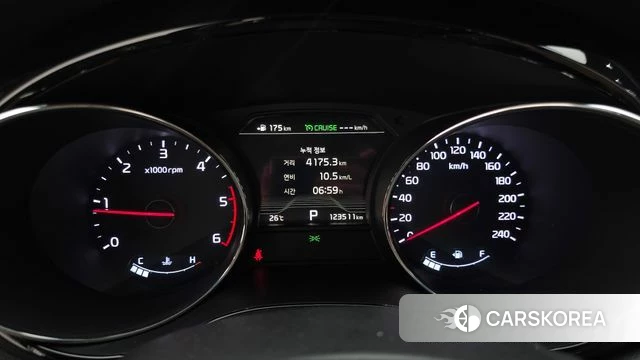 Kia The New Carnival id 4615135 из Кореи 31