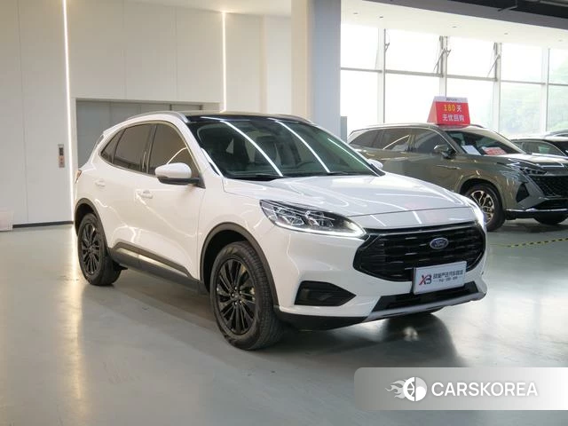 Ford Ruiji id 4221728 из Китая 17