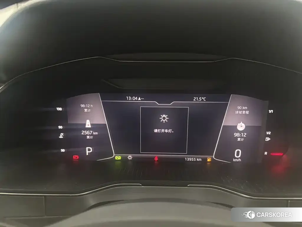 Skoda Speed pie id 4553923 из Китая 17