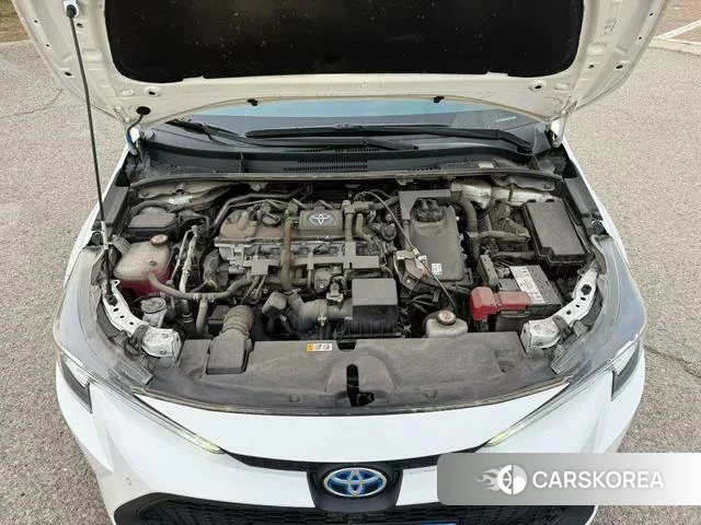 Toyota Lei Ling id 4272878 из Китая 7