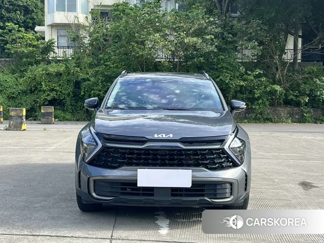 Kia Lion Platinum expands the world id 4329027 из Китая 7