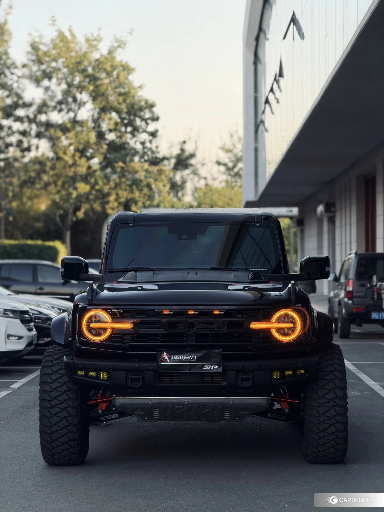 Ford Lie Ma id 4455870 из Китая 9