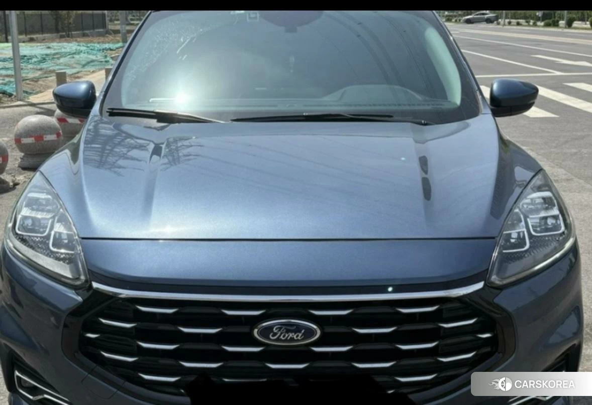 Ford Ruiji id 4479832 из Китая 7