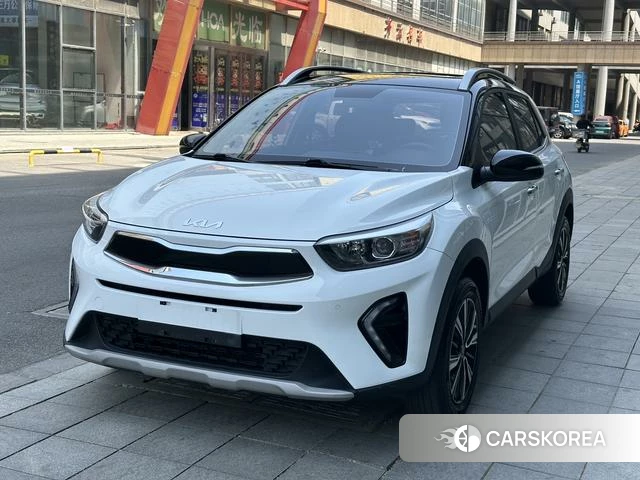 Kia Yi Ran id 4276216 из Китая 12