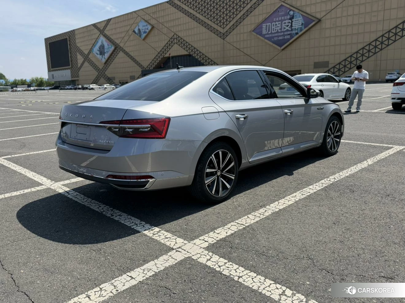 Skoda Speed pie id 4452207 из Китая 23