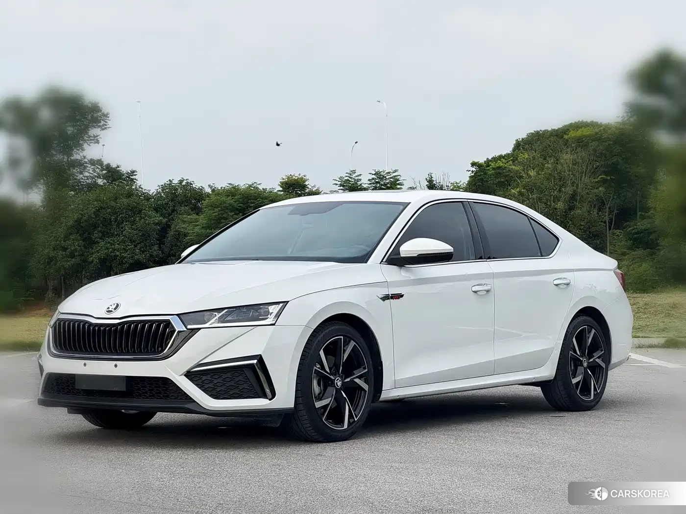 Skoda Octavia id 4548245 из Китая 13