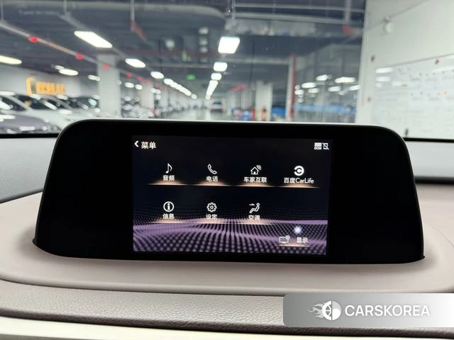 Lexus RX id 4298007 из Китая 29